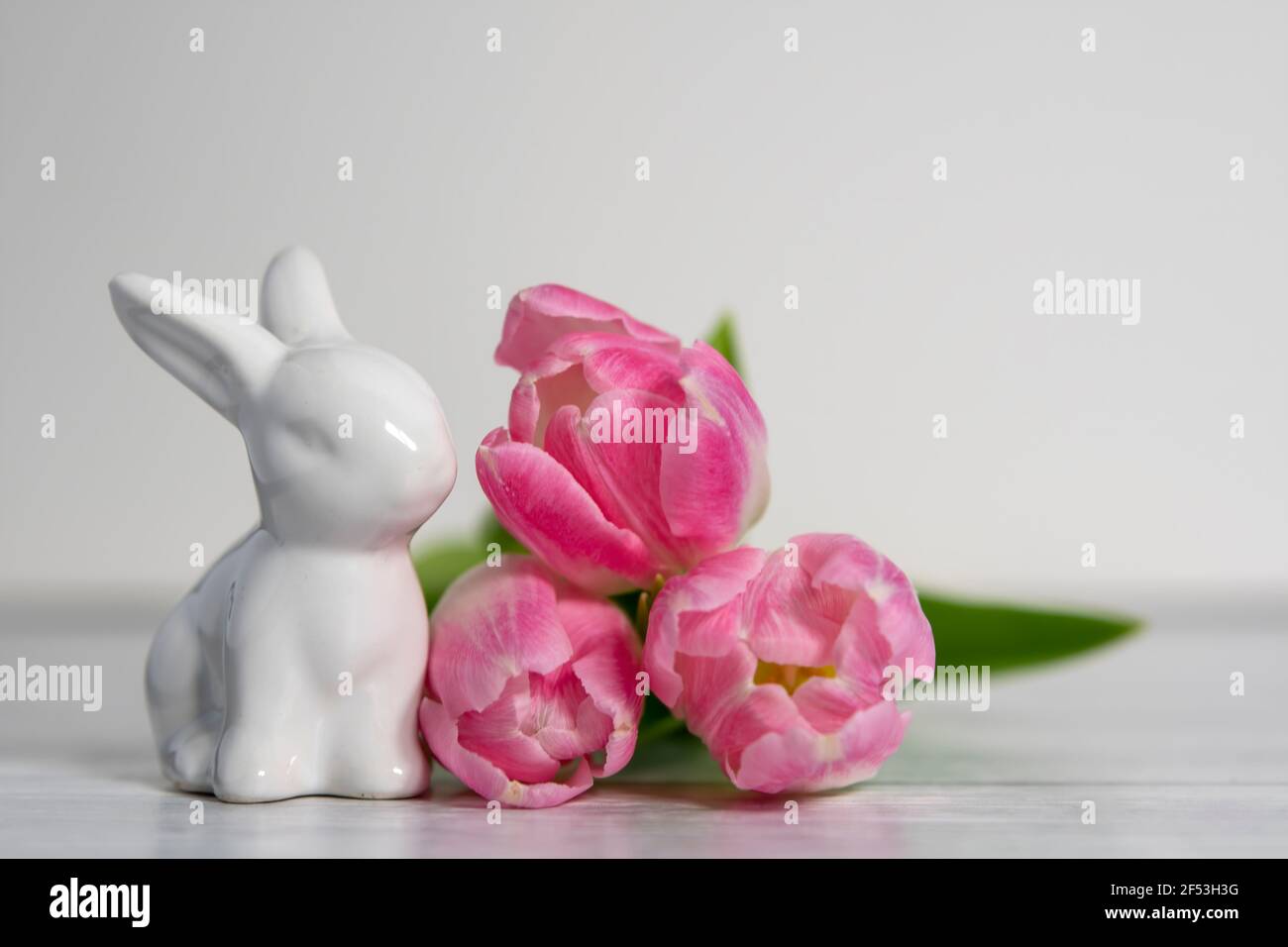 Vista frontale dei coniglietti pasquali in porcellana, tulipani bianchi di colore rosa pastello. Su sfondo bianco . Foto Stock