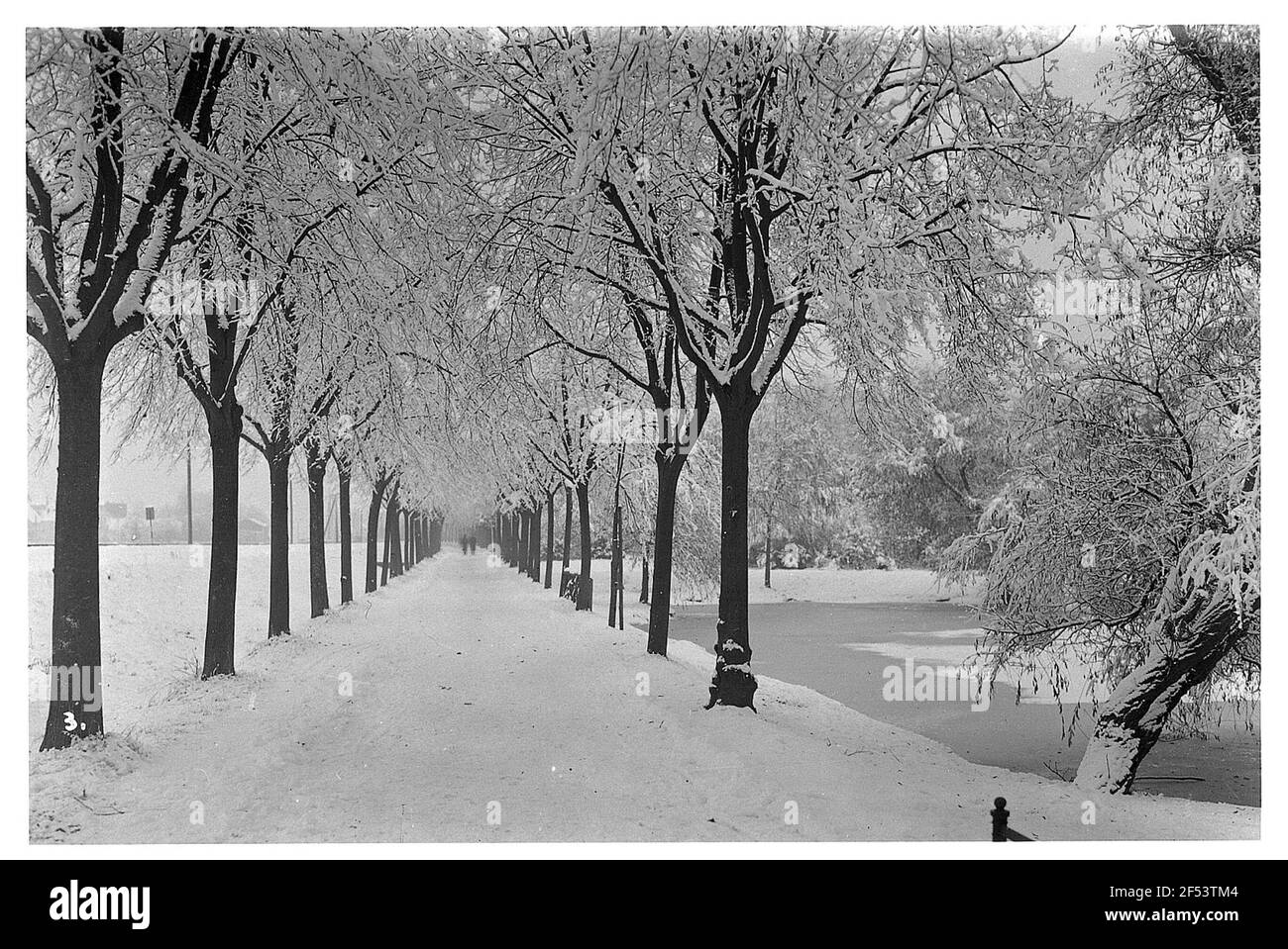 Per rimprovero. Inverno allee con escursionisti all'orizzonte Foto Stock