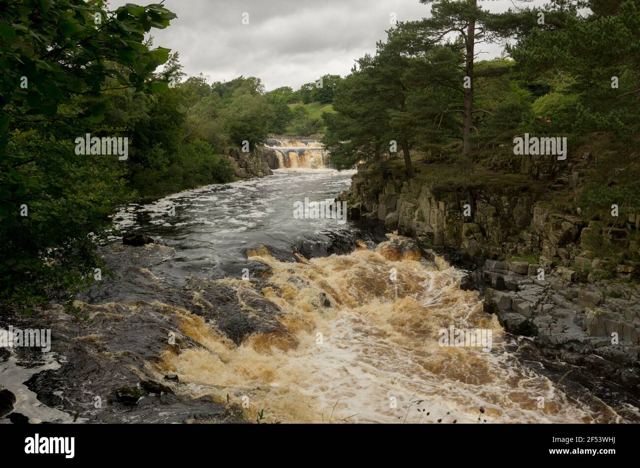 Cascate di Low Force sul fiume Tees, in Upper Teesdale, County Durham, Regno Unito Foto Stock
