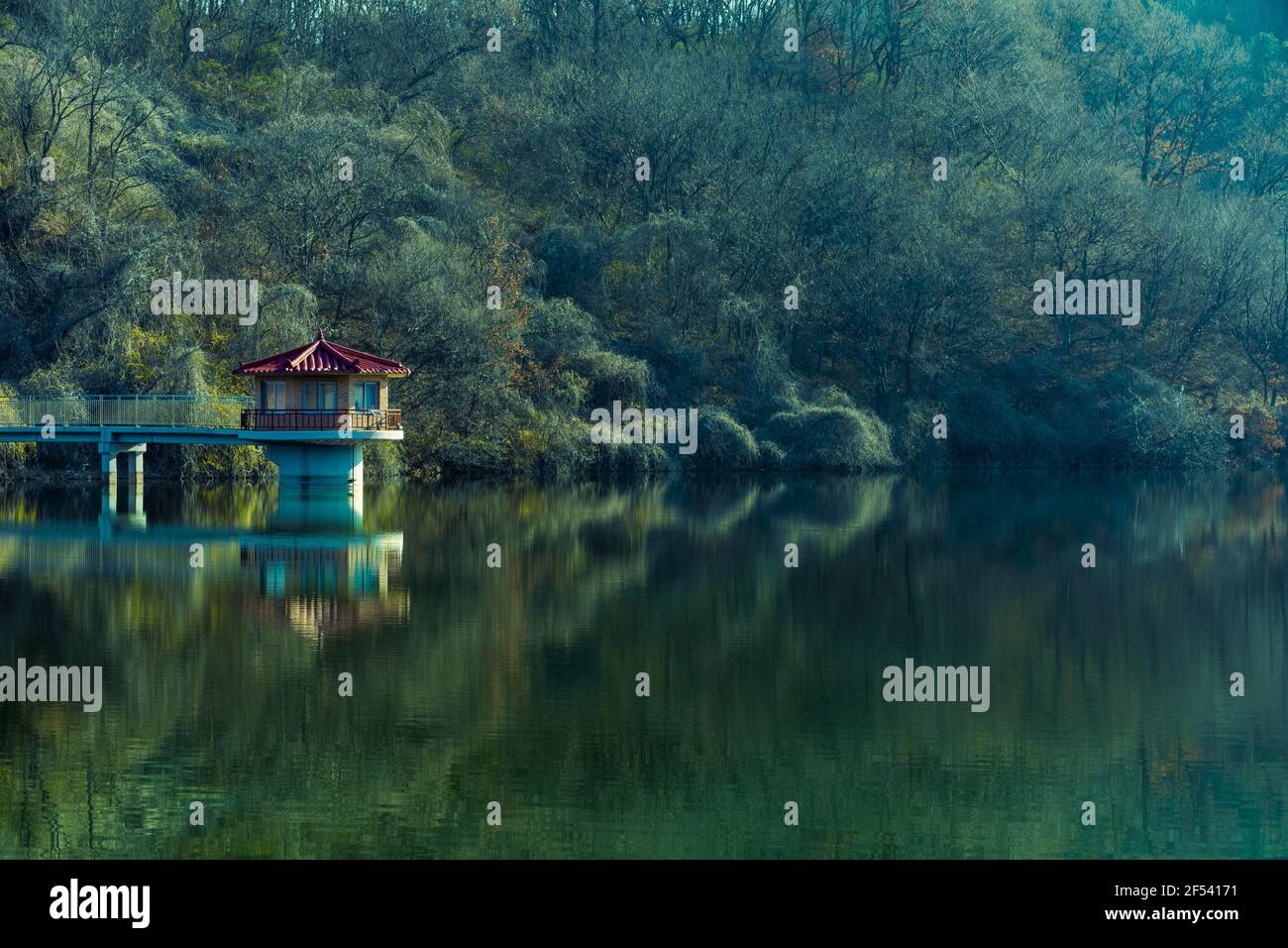 Sorgente soleggiata, paesaggio con lago, alberi e foreste. Seosan-si, Chungcheongnam-do, Repubblica di Corea Foto Stock
