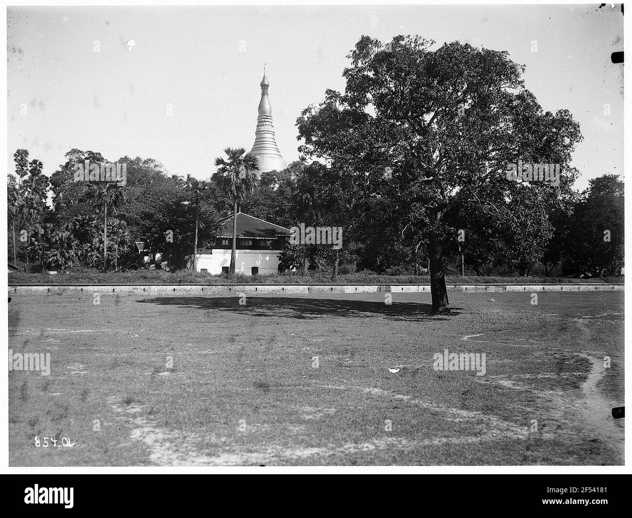 Rangonn, Birmania. Paesaggio con pizzo di pagoda Shwedagon dietro gli alberi Foto Stock