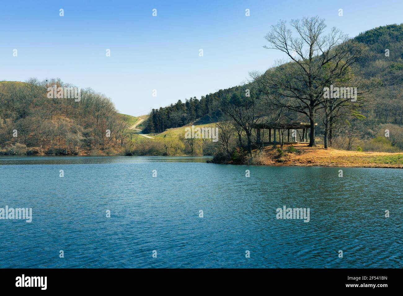 Sorgente soleggiata, paesaggio con lago, alberi e foreste. Seosan-si, Chungcheongnam-do, Repubblica di Corea Foto Stock