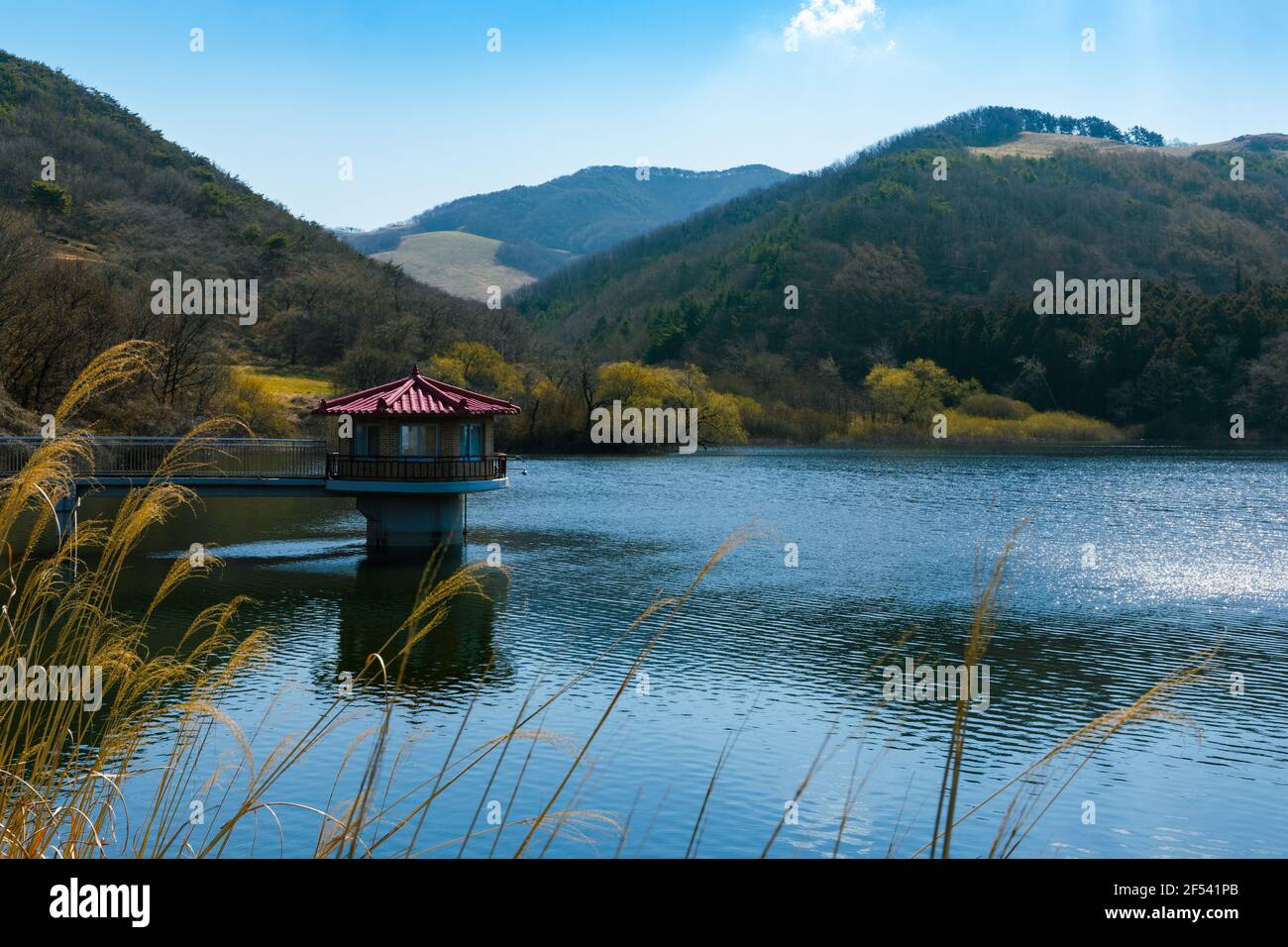 Sorgente soleggiata, paesaggio con lago, alberi e foreste. Seosan-si, Chungcheongnam-do, Repubblica di Corea Foto Stock