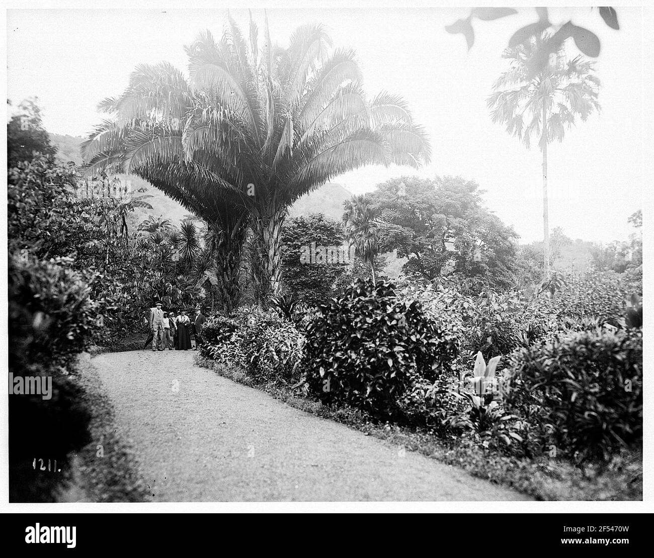 Turisti nel Giardino di Castelon di Kingston Foto Stock