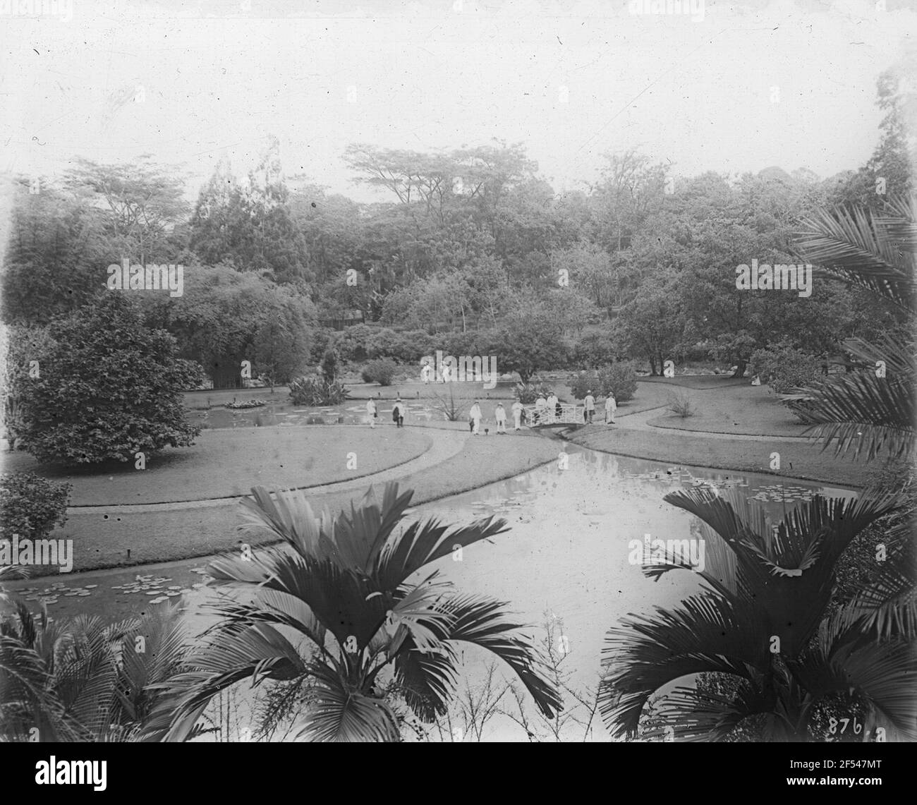 Giardino Botanico Foto Stock