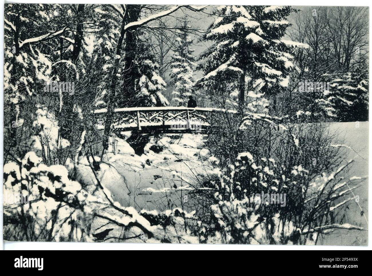 Countrymanstal, Park Party im Winter Grandschweidnitz. Landesanstalt, Parkpartie in inverno Foto Stock