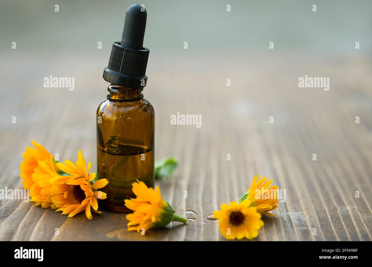 Flacone di olio essenziale di calendula pianta medicinale, Calendula officinalis Foto Stock