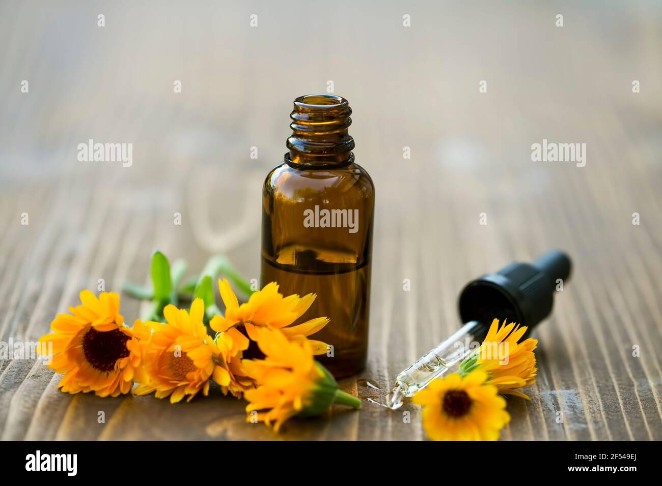 Flacone di olio essenziale di calendula pianta medicinale, Calendula officinalis Foto Stock