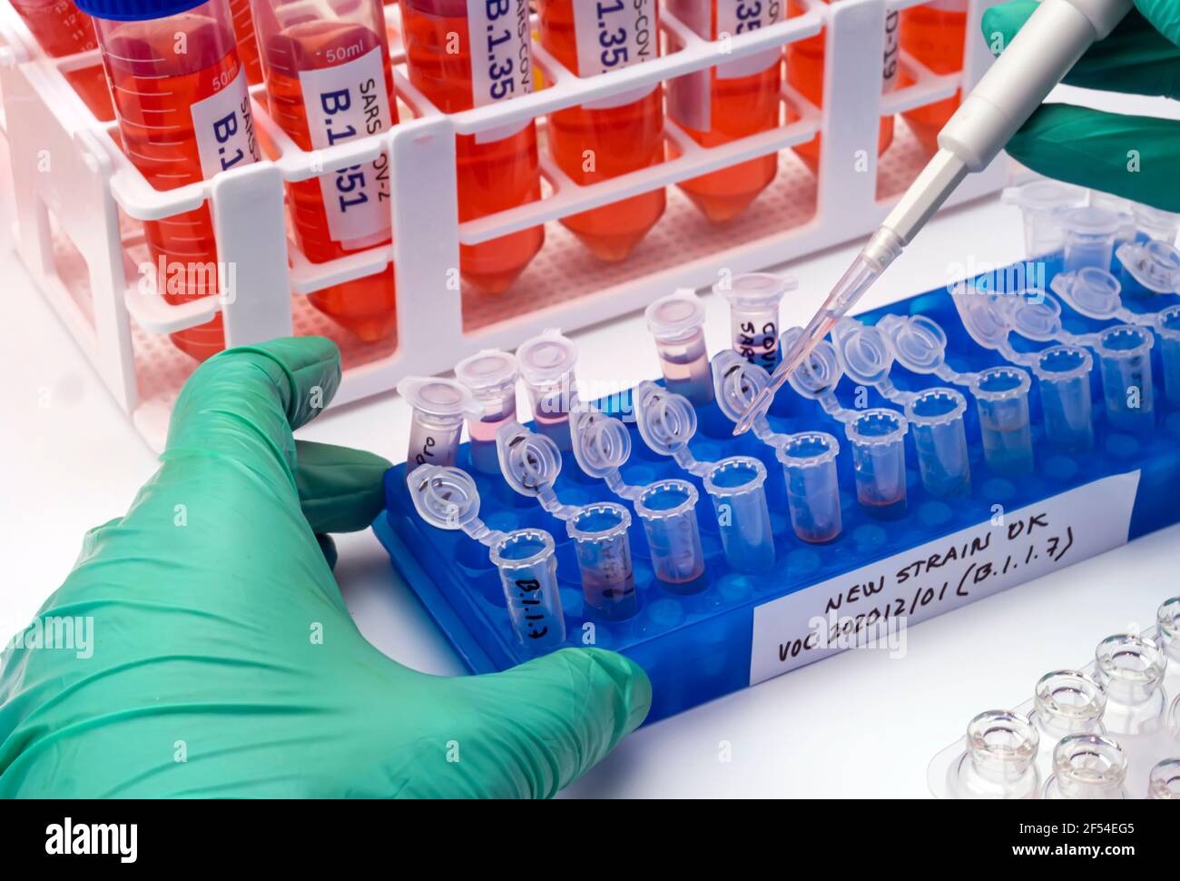 Ricerca di laboratorio nuovo ceppo di sars-COV-2 britannico scientificamente chiamato VOC 202012/01 (B.1.1.7), quadro concettuale Foto Stock