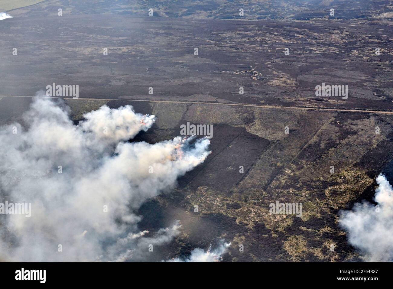 Heather che brucia sui North York Moors, North Yorkshire, Inghilterra settentrionale. REGNO UNITO Foto Stock