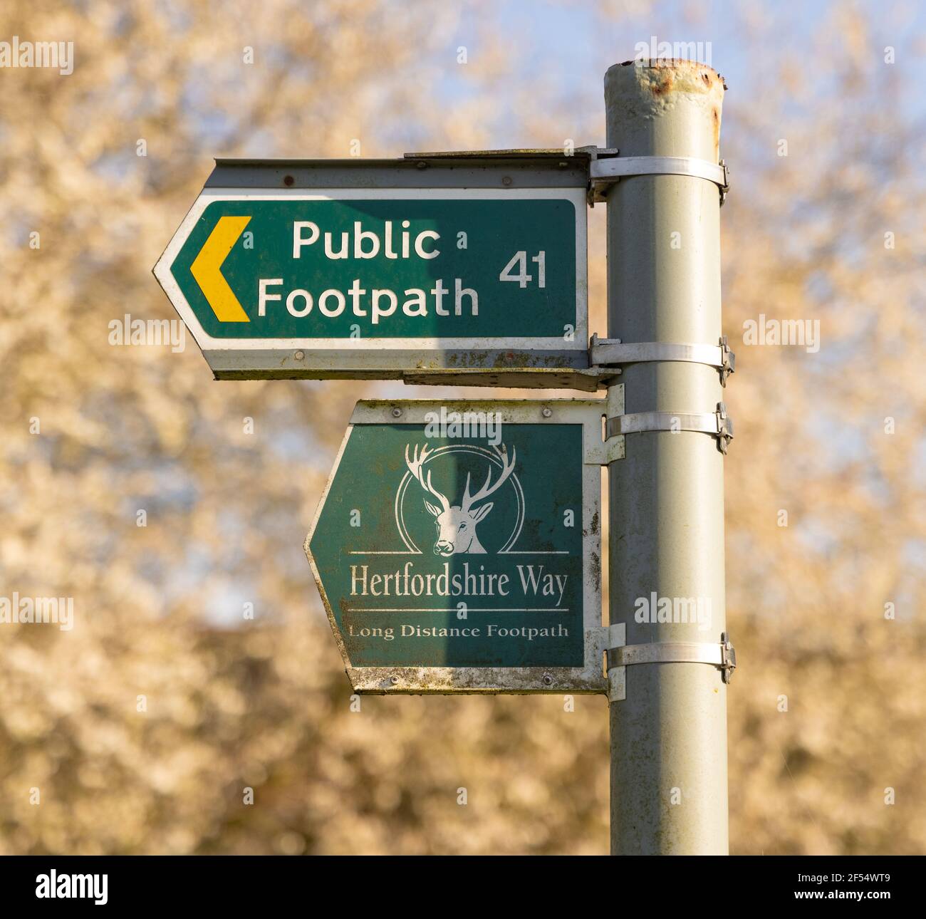 Cartello pubblico e cartello Hertfordshire Way su un palo in campagna. Hertfordshire, Regno Unito. Foto Stock