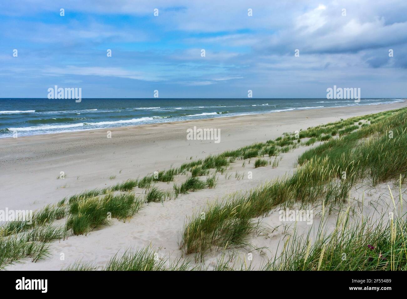 Un mare senza gente. Una costa marina deserta in cattive condizioni  atmosferiche. Vento e onde sul Mar Baltico Foto stock - Alamy