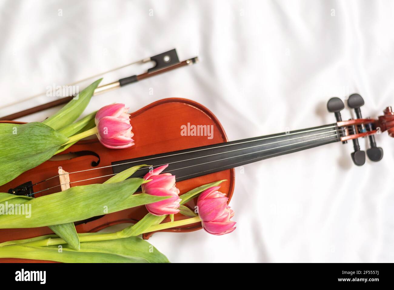 Bouquet profumato in fiore sullo strumento per violino Foto Stock