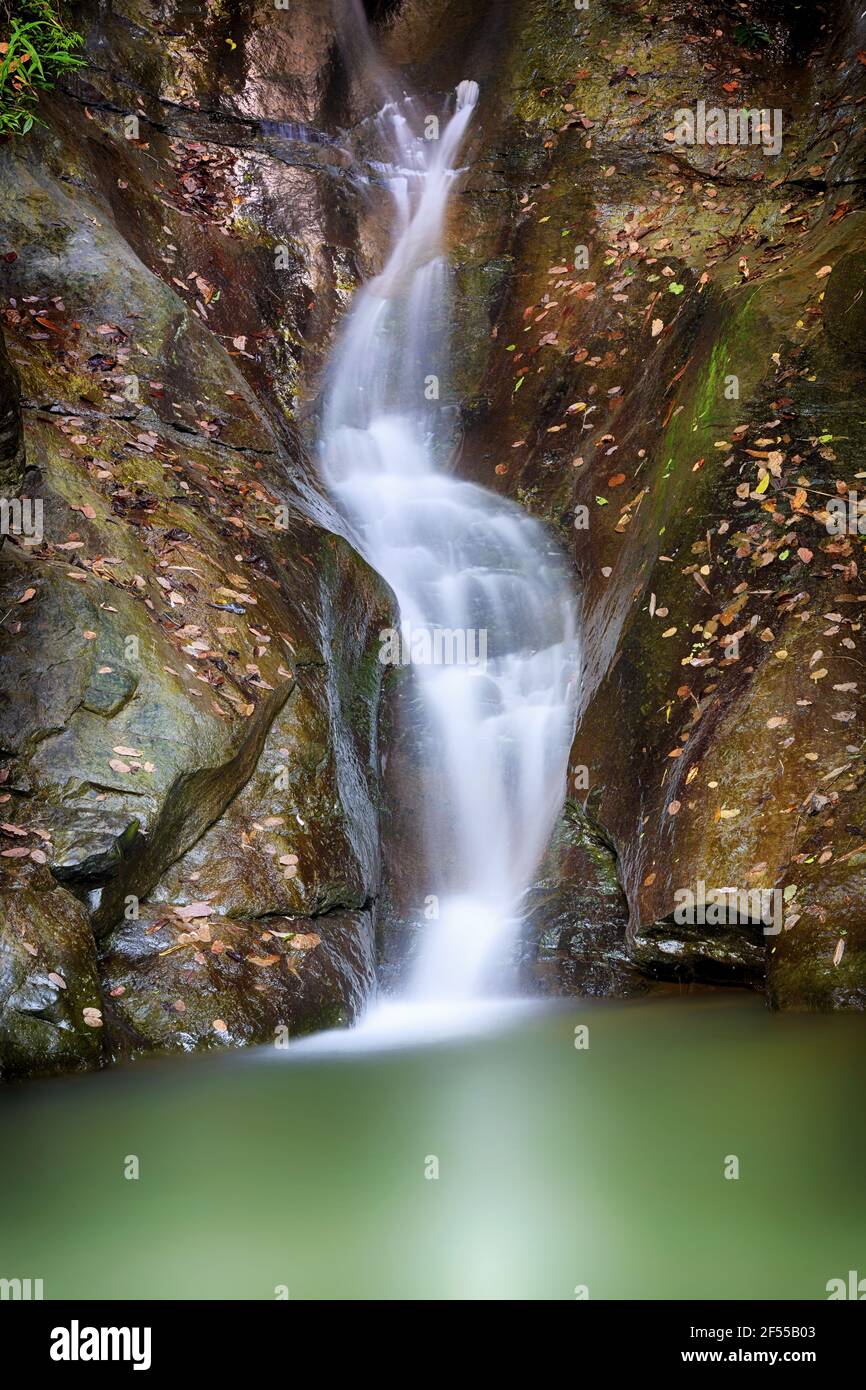 Napittachora caduta d'acqua Foto Stock