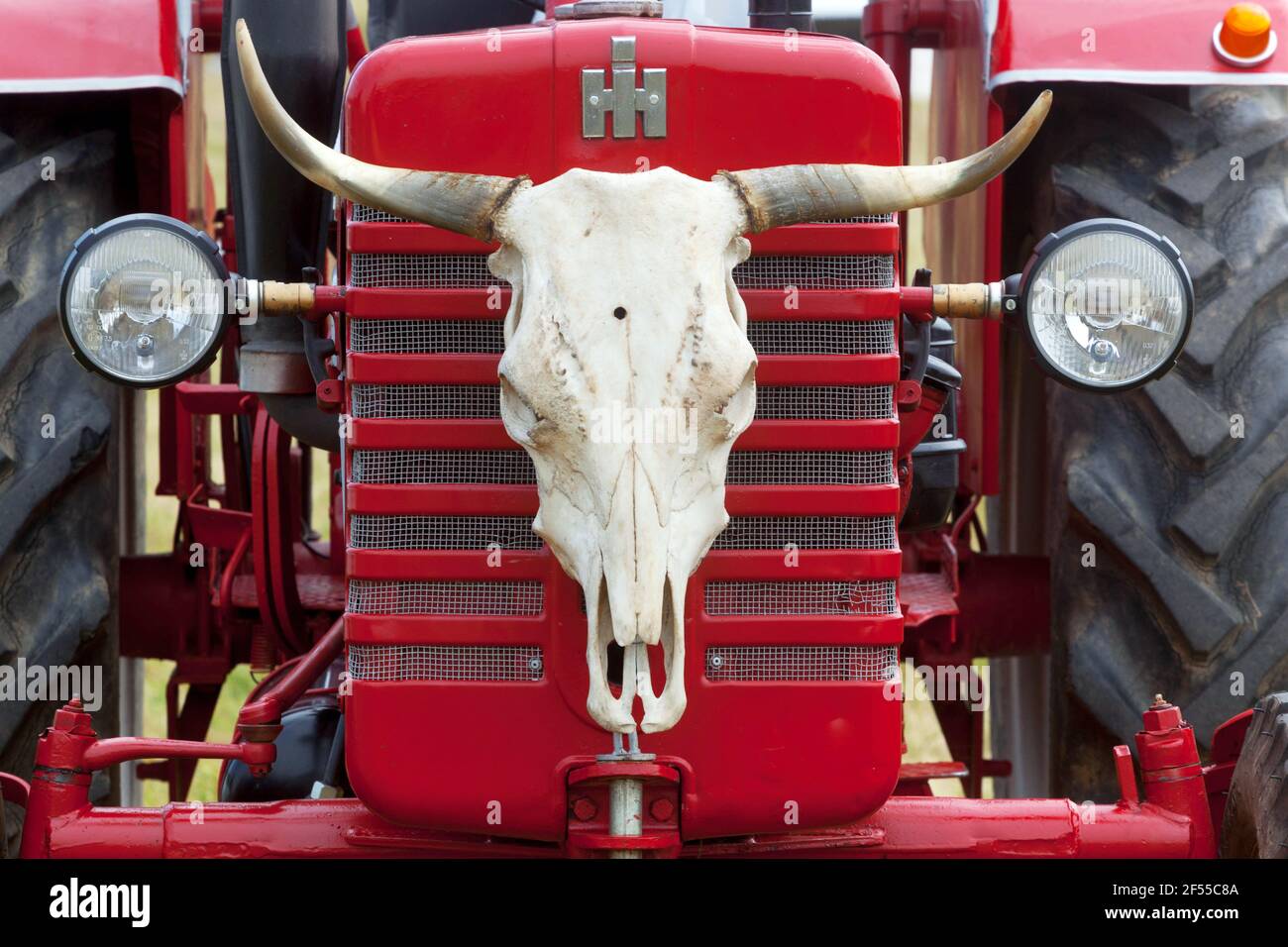Trattore McCormick con teschio di vacca davanti Foto Stock