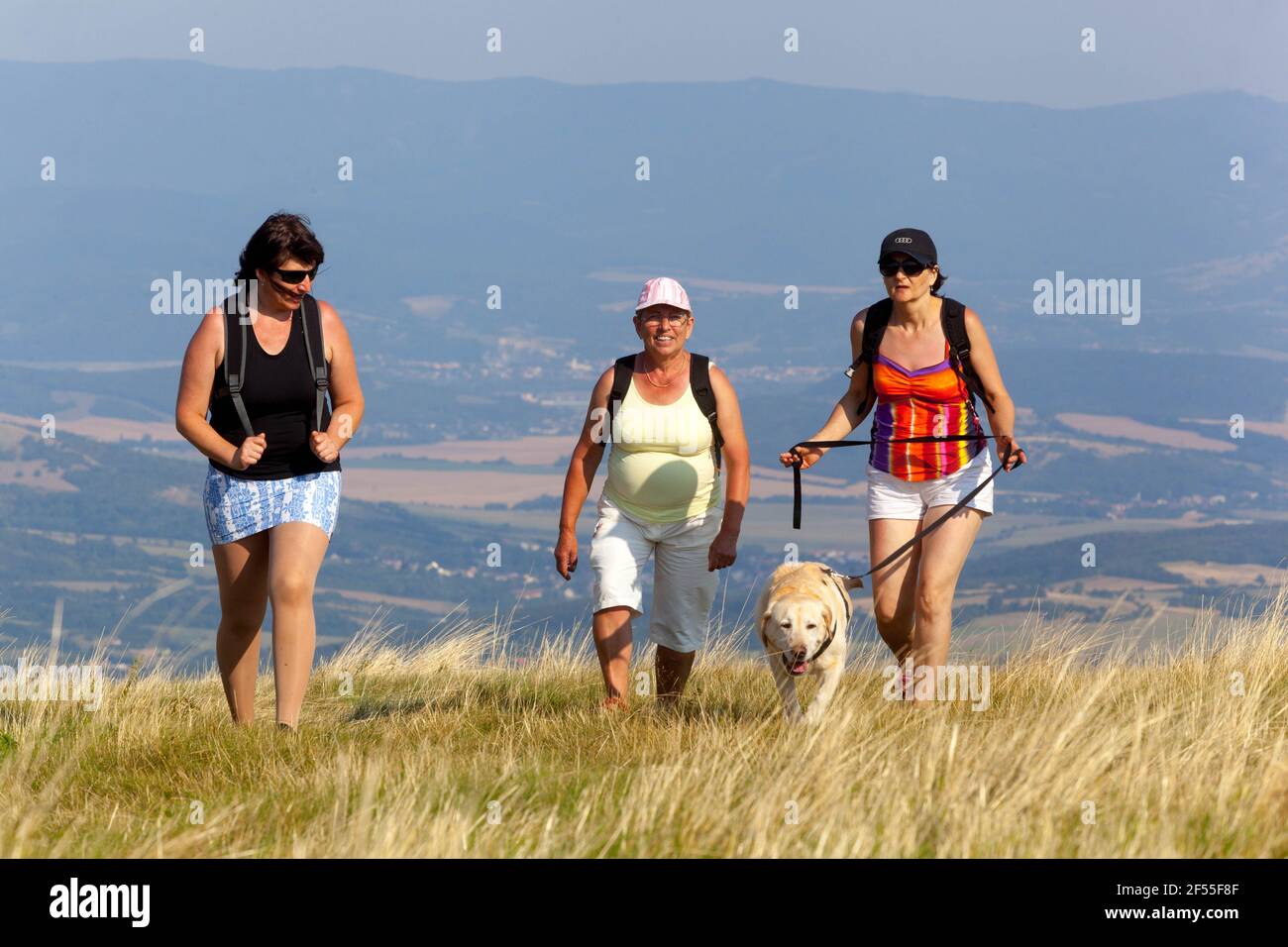 Tre donne anziane su una passeggiata con un cane sopra un prato estivo Foto Stock
