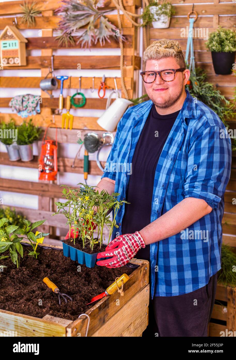 Giovane uomo che tiene un piccolo vassoio di piantine di pomodori su di lui giardino urbano Foto Stock