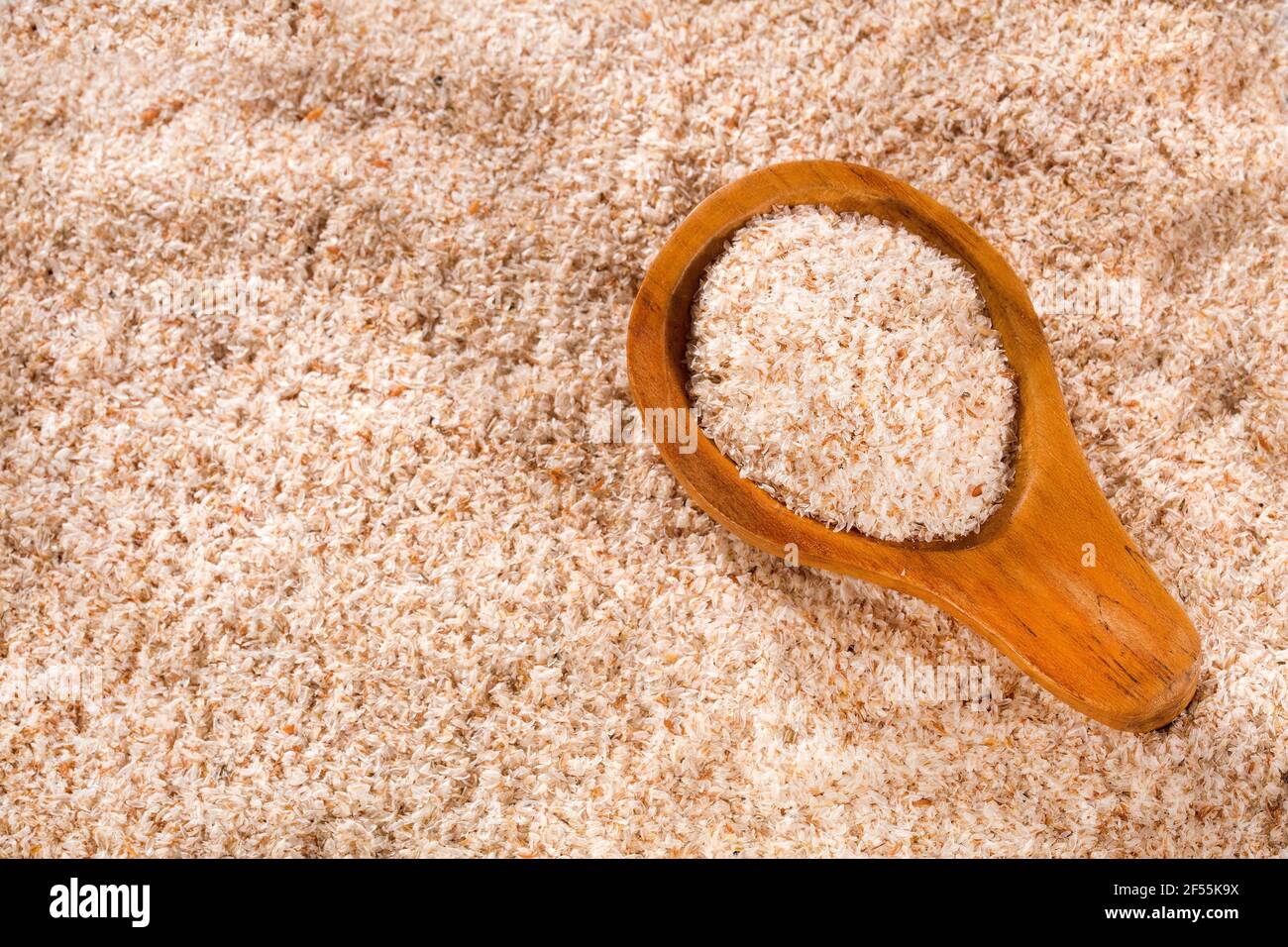 Plantago afra - Sbuck di psyllium organico Foto Stock