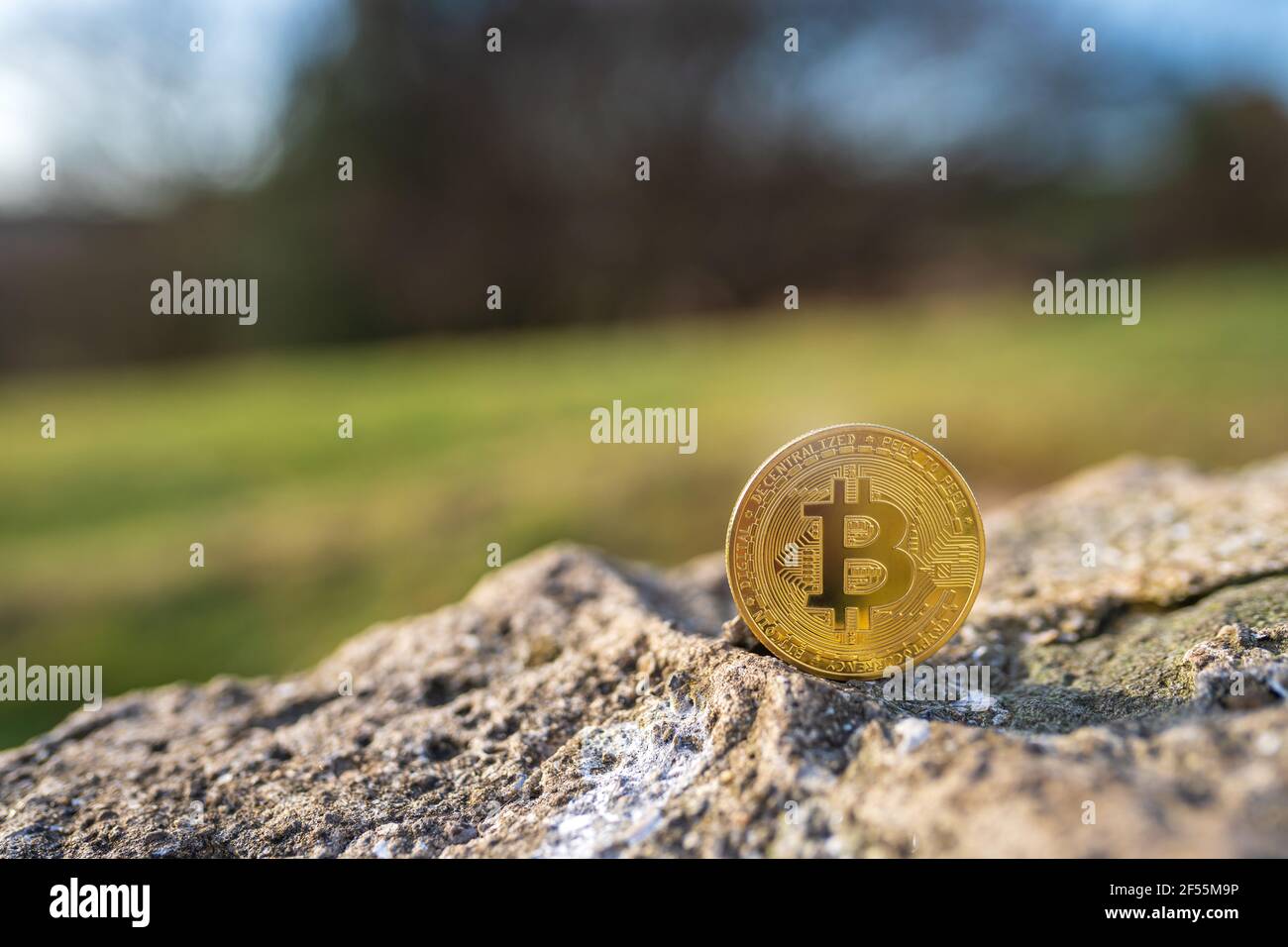 Primo piano di Bitcoin su una pietra all'aperto con sfondo verde naturale con spazio per la copia. Singola moneta fisica in metallo dorato brillante BTC criptovaluta. ENVI Foto Stock