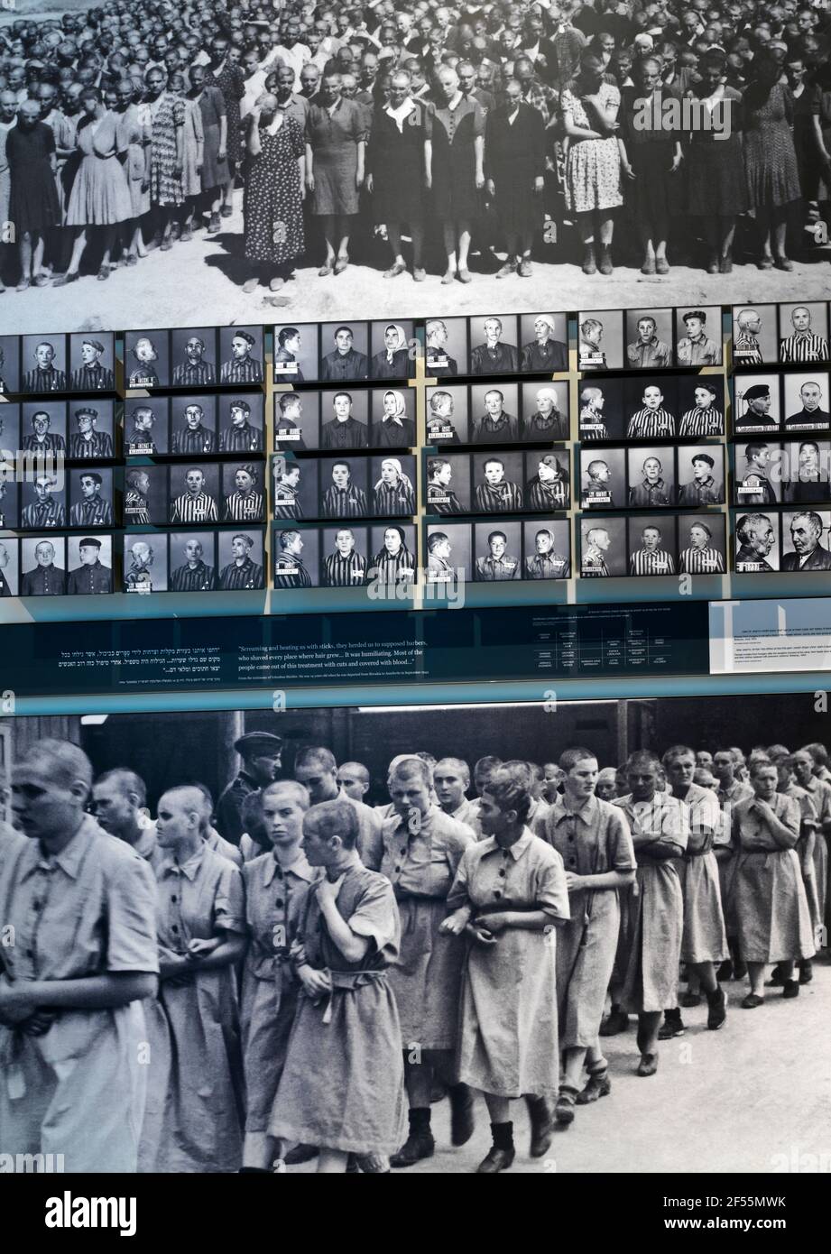 Israele, Gerusalemme, Yad Vashem, mostra di scene del campo di concentramento nazista Foto Stock