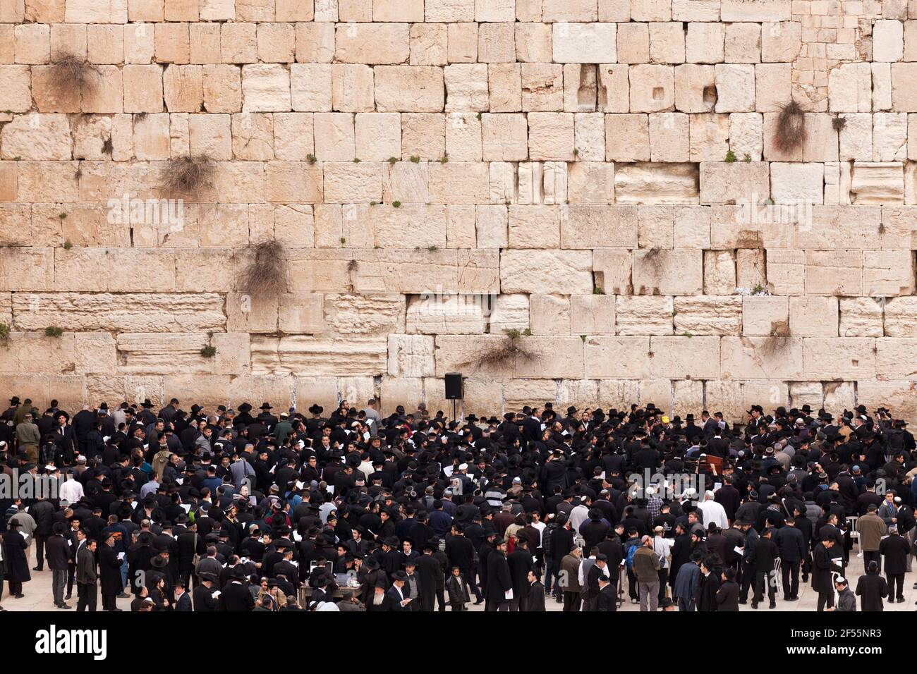 Israele, Gerusalemme, Ebrei ortodossi che pregano al Muro Occidentale Foto Stock