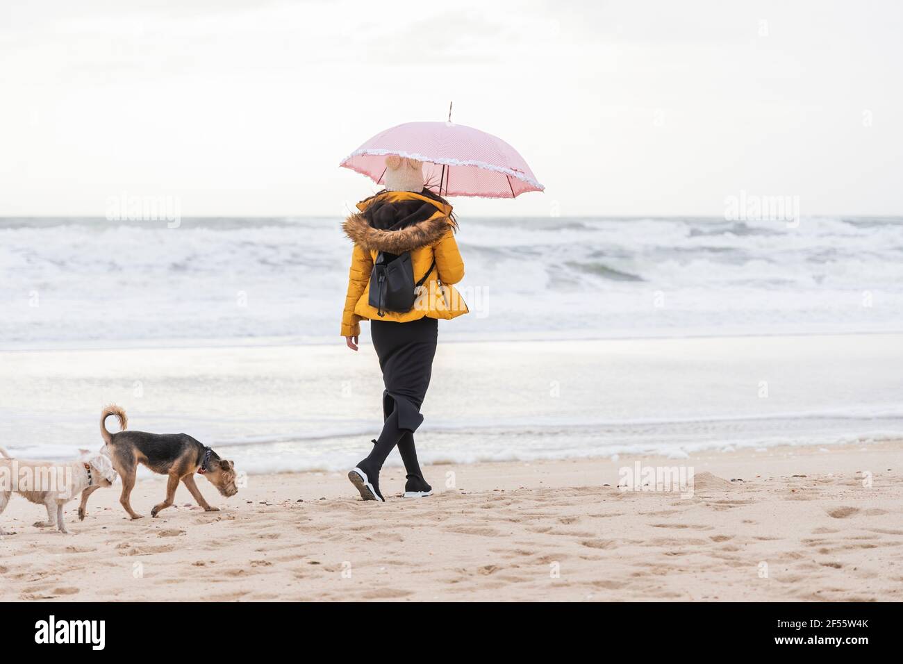 Giovane donna con ombrello che cammina con due cani lungo la sabbia spiaggia costiera Foto Stock