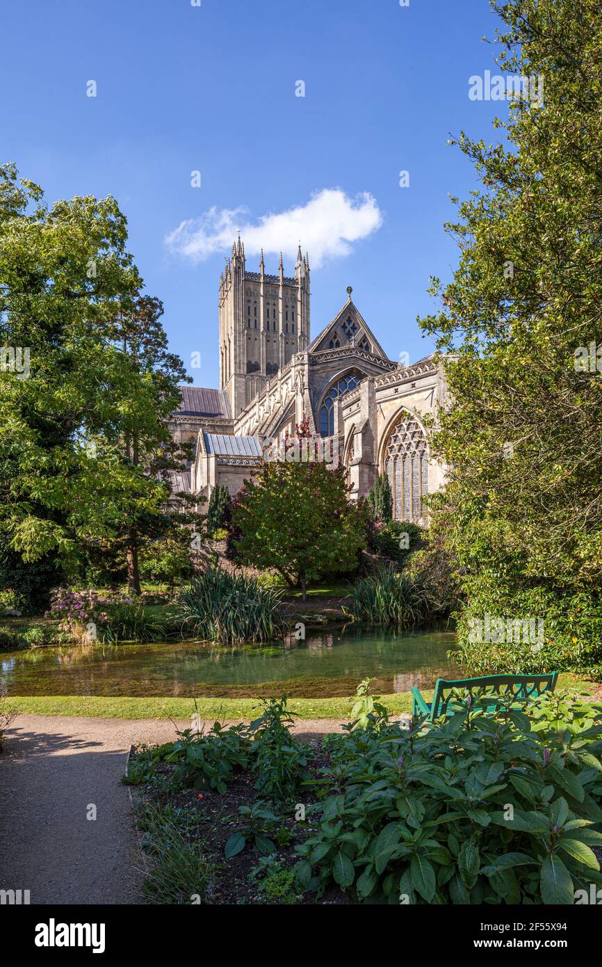 Wells Cathedral vista attraverso i pozzi o le sorgenti che danno alla città il suo nome, Wells, Somerset UK Foto Stock