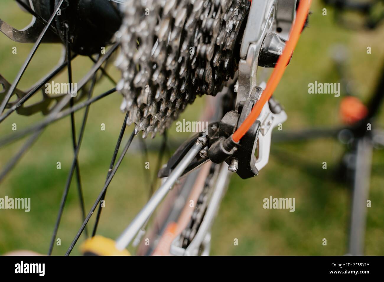 Primo piano del meccanico di bicicletta con un cacciavite che ripara la bicicletta Foto Stock