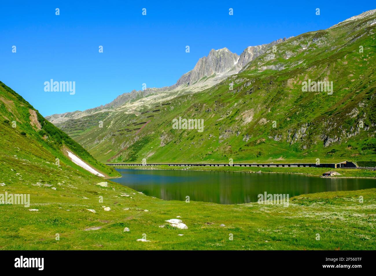 Svizzera, Graubunden, lago Oberalpsee nel paesaggio montano estivo Foto Stock
