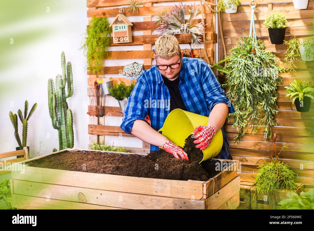 Giovane preparatore di substrato per giardino urbano costruito con pallet sulla sua terrazza Foto Stock