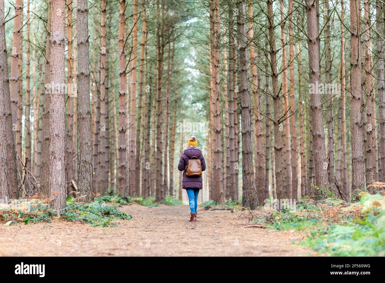 Donna con zaino tra gli alberi nella foresta Foto Stock