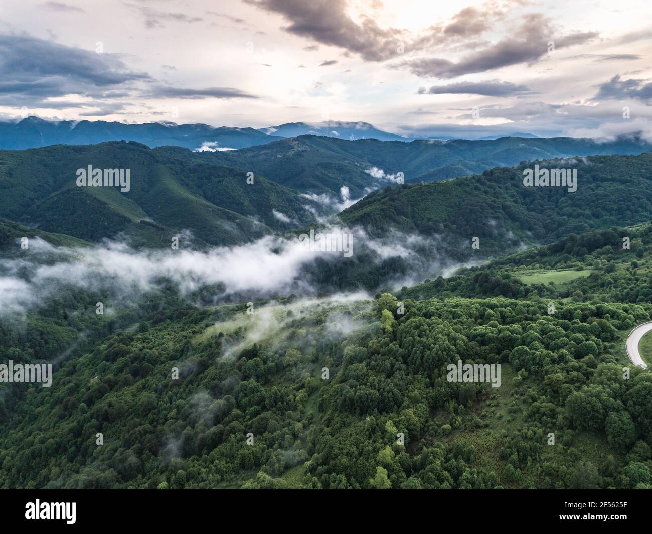 Epico paesaggio verde foresta in primavera. Catena montuosa in Bulgaria nella nebbia nuvolosa giorno Foto Stock