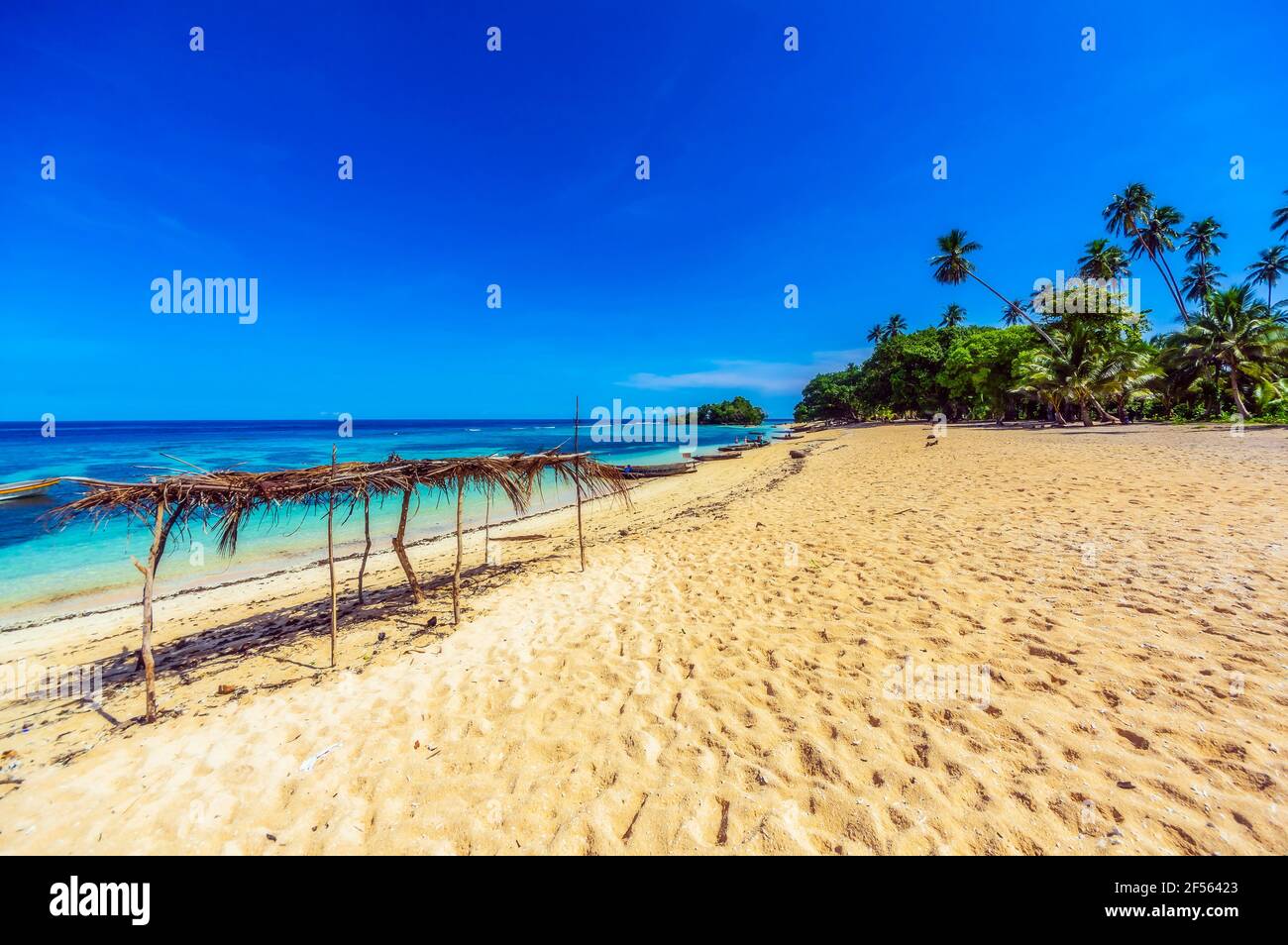 Oceania, Papua Nuova Guinea, Isole Trobriand, Kiriwina (ex Boyowa), Spiaggia e palme Foto Stock