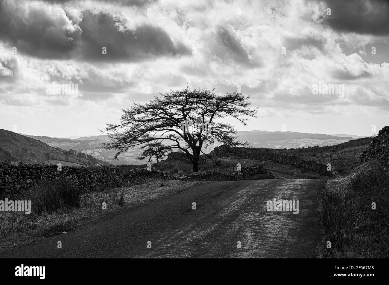 Vista da 'la lotta' verso Windermere Foto Stock