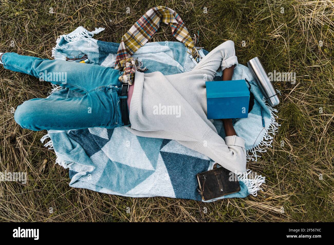 Giovane uomo che dorme su coperta coprendo il viso con libro tra piante secche Foto Stock