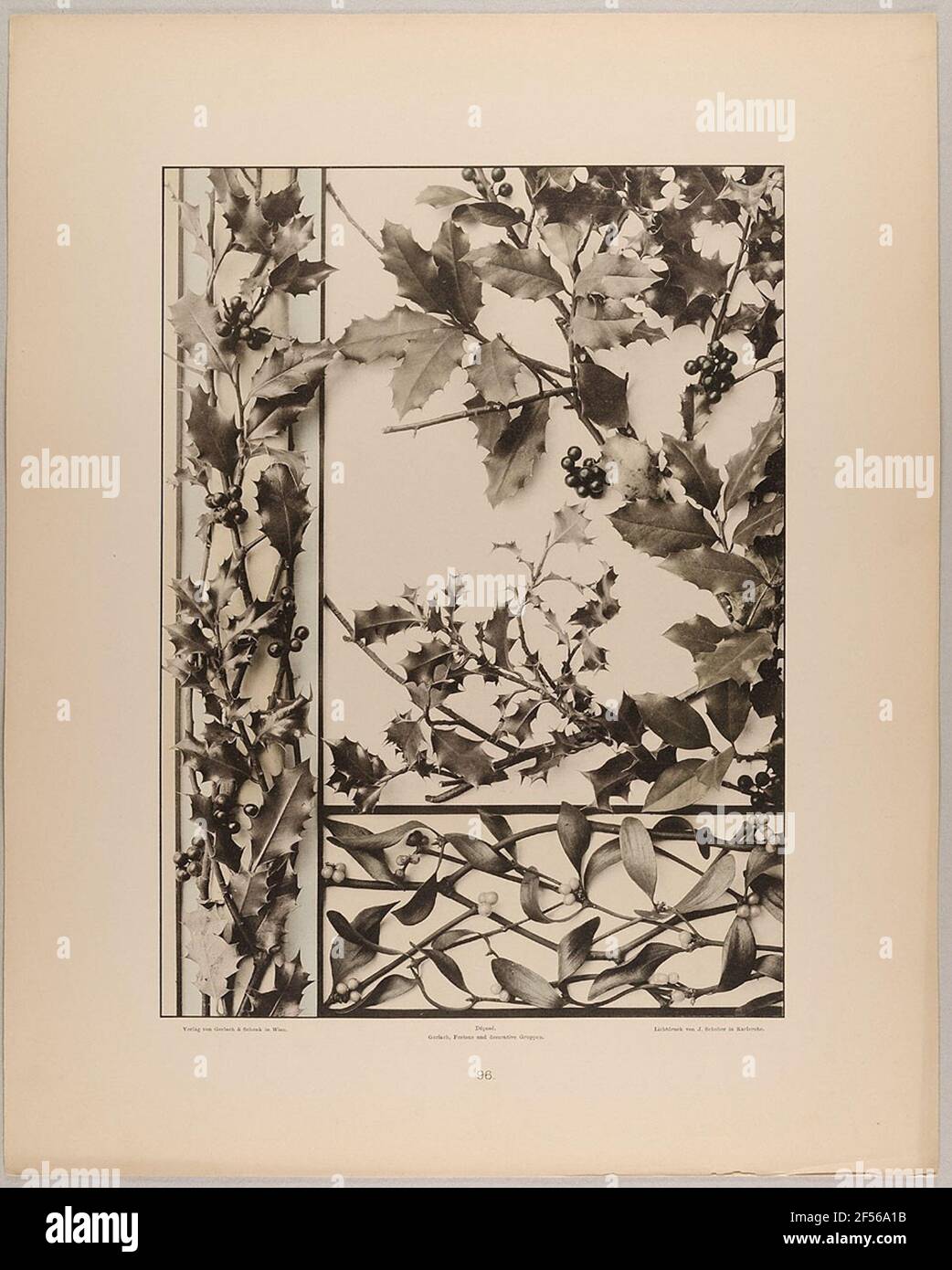 96. Striscia ornamentale, gruppo e fregio da agrifoglio e mistetoe. Stato piano Amburgo, raccolta della storia della fotografia Foto Stock