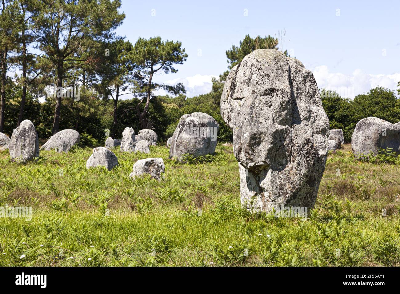 Alcuni dei più di 3000 pietre permanente dal neolitico a Carnac, Brittany, Francia Foto Stock