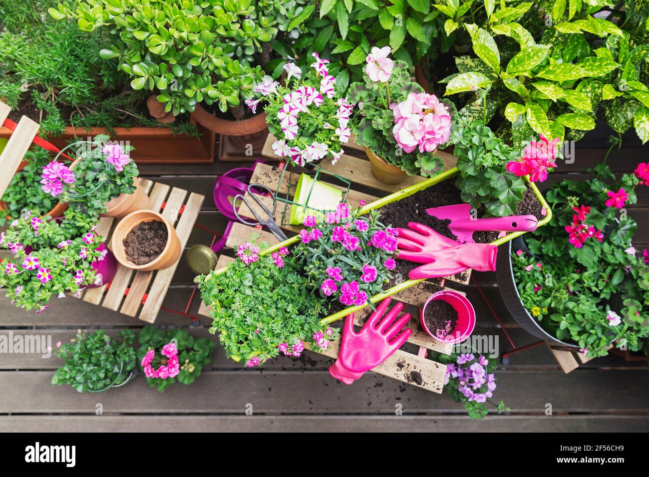 Vasi di fiori sul balcone Foto Stock