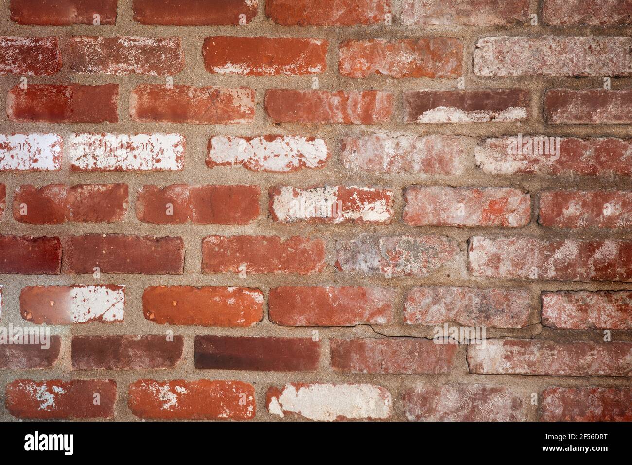 Rustica parete di mattoni di fondo texture. Foto Stock