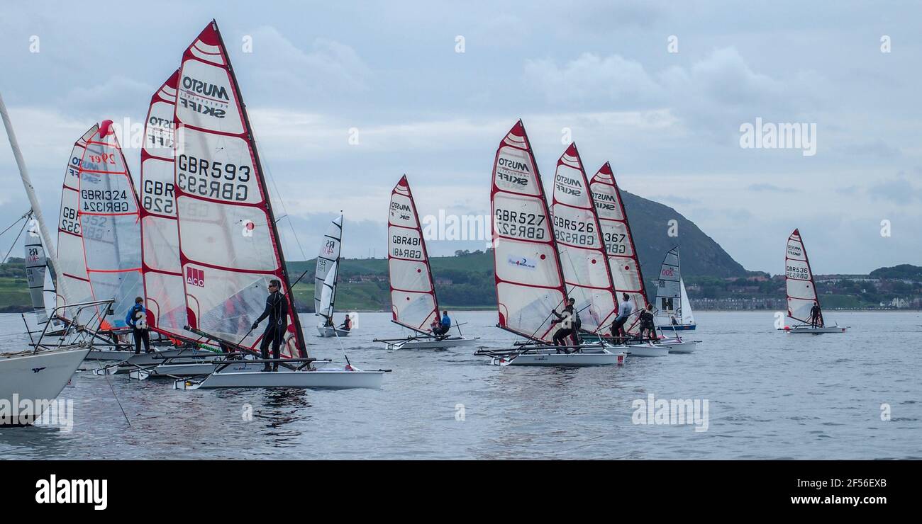 I gommoni che competono nella Regata annuale dello Yacht Club di East Lothian, North Berwick Foto Stock