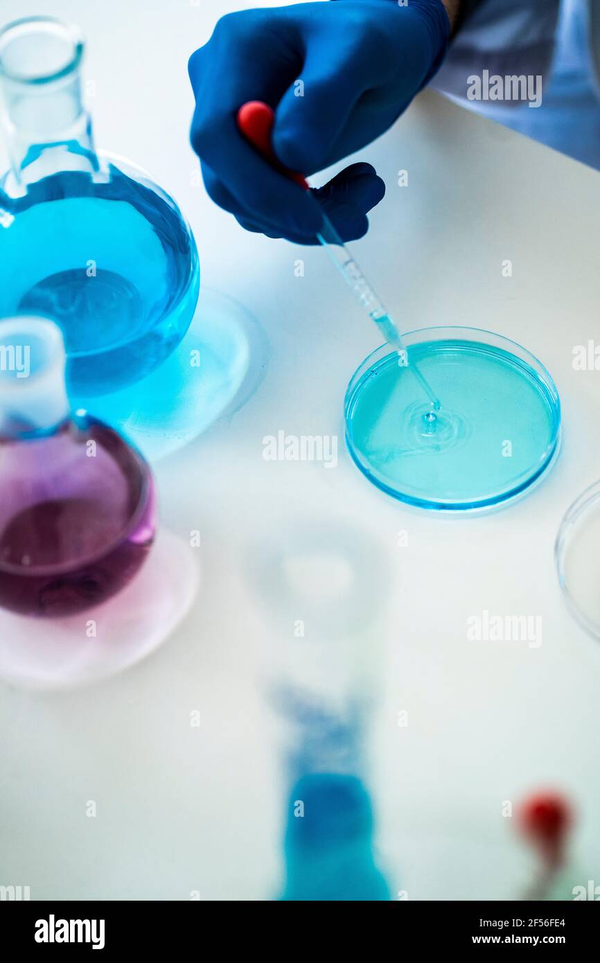 Lo scienziato mescola il prodotto chimico in una capsula di Petri attraverso una pipetta in laboratorio Foto Stock
