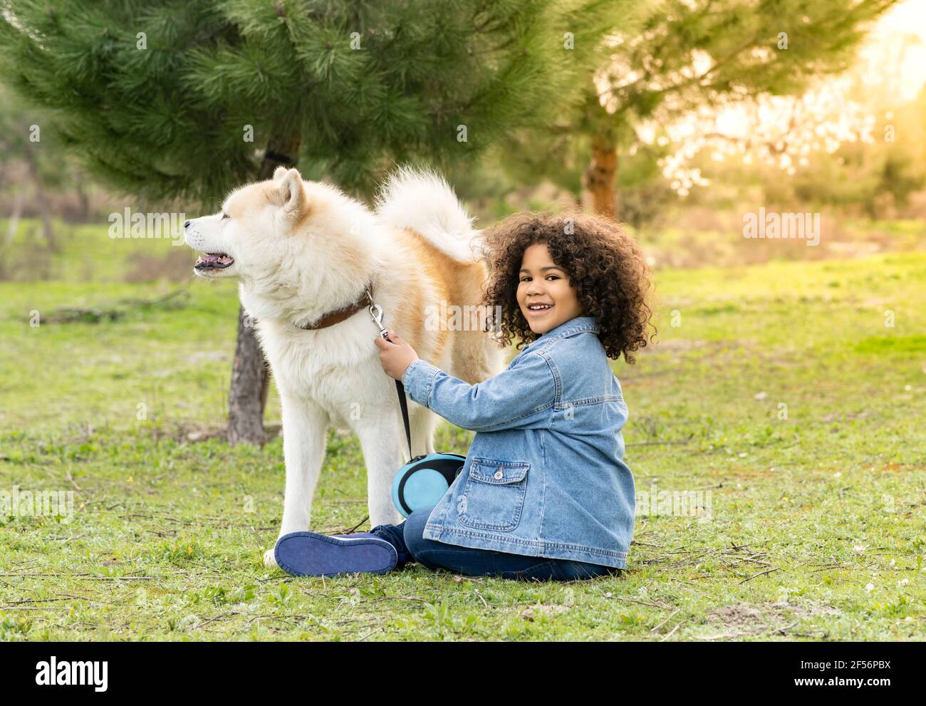 Ragazzo sorridente seduto da cane su erba in natura Foto Stock