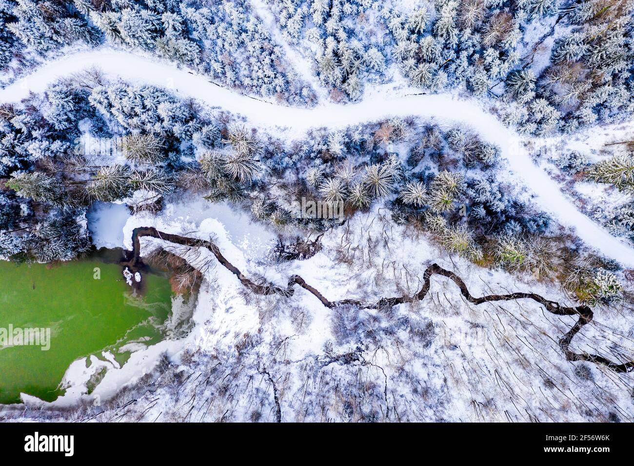 Germania, Baden Wurttemberg, veduta aerea del fiume che cade nel lago nella foresta sveva in inverno Foto Stock