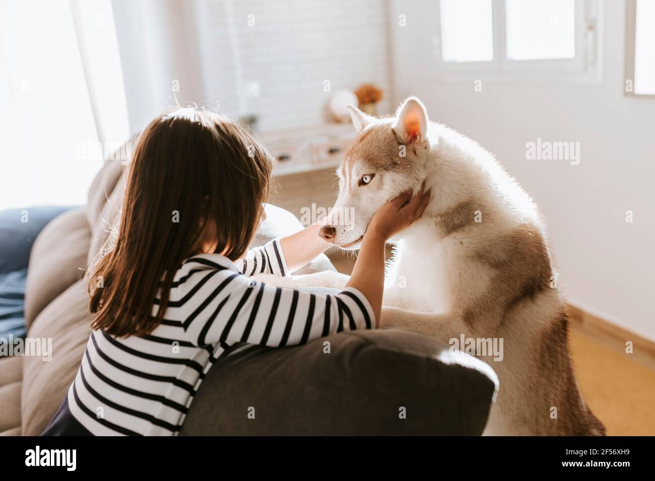 Ragazza che accarezzava Husky siberiano mentre si appoggiava sul divano a casa Foto Stock