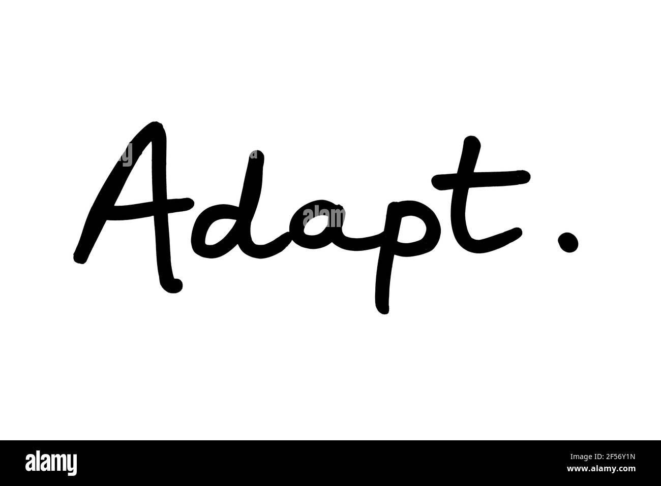 La parola ADAPT, scritta a mano su sfondo bianco. Foto Stock