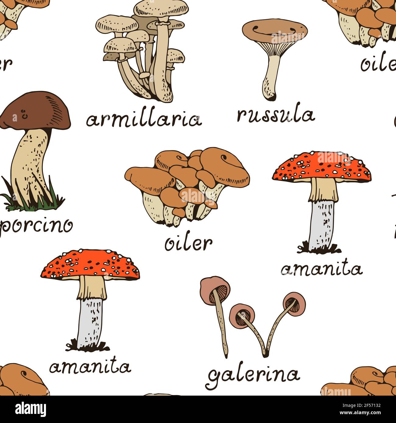 Foresta mushooms modello vettoriale, natura senza giunture sfondo funghi Illustrazione Vettoriale