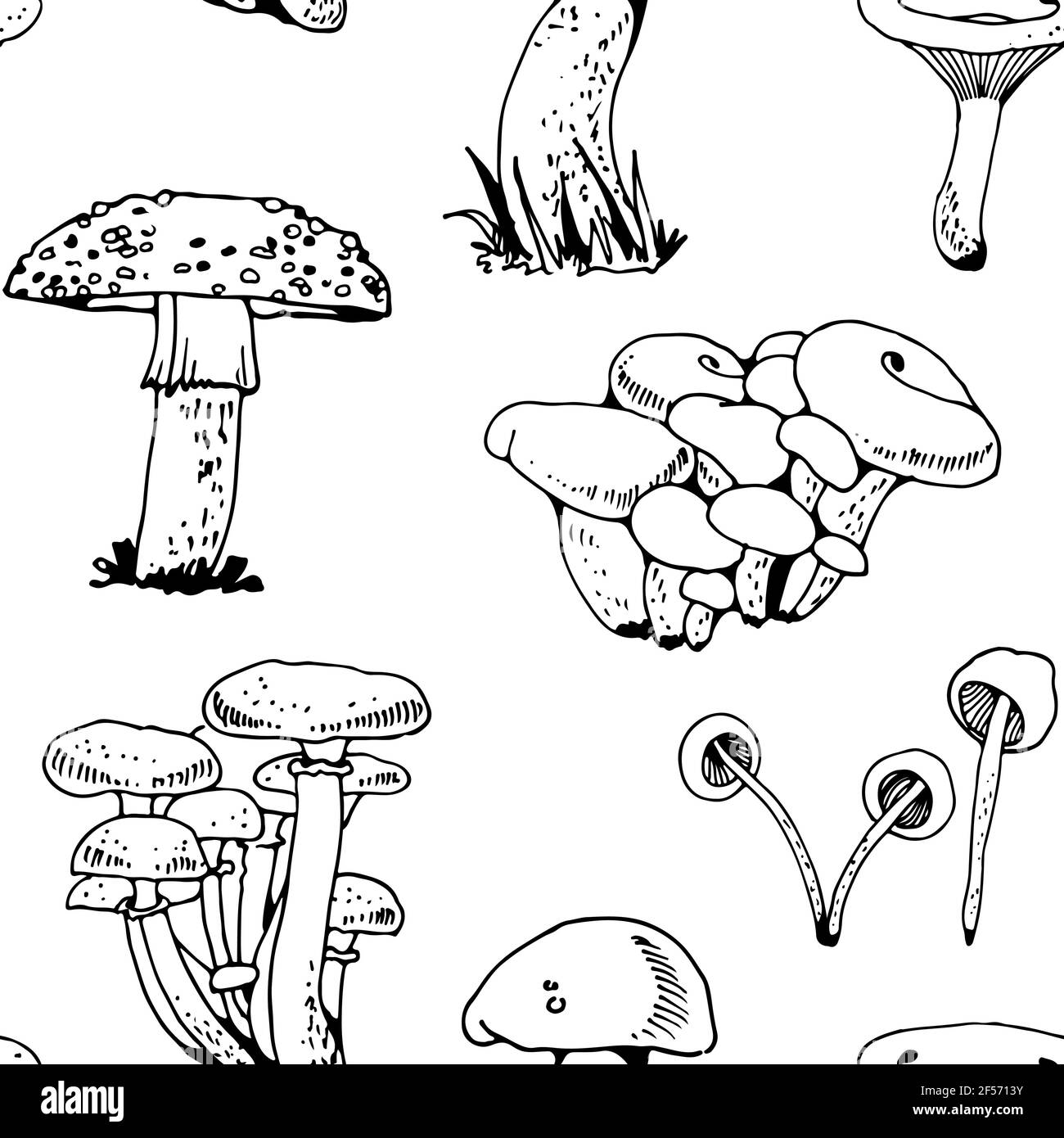 Forest mushooms modello vettoriale, sfondo naturale senza giunture Illustrazione Vettoriale