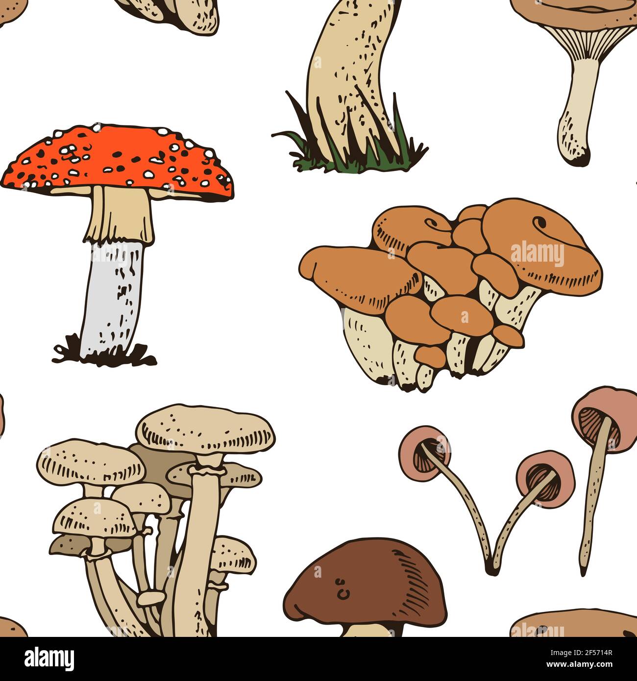 Forest mushooms modello vettoriale, sfondo naturale senza giunture Illustrazione Vettoriale