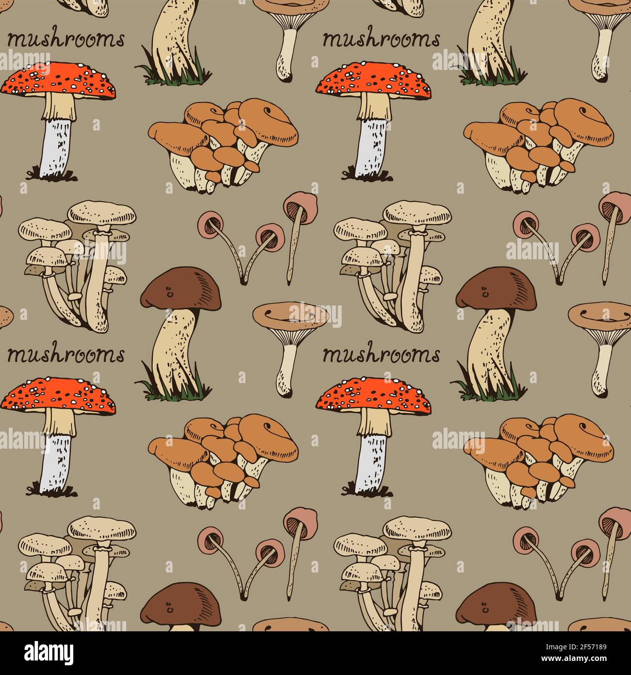 Forest mushooms modello vettoriale, sfondo naturale senza giunture Illustrazione Vettoriale