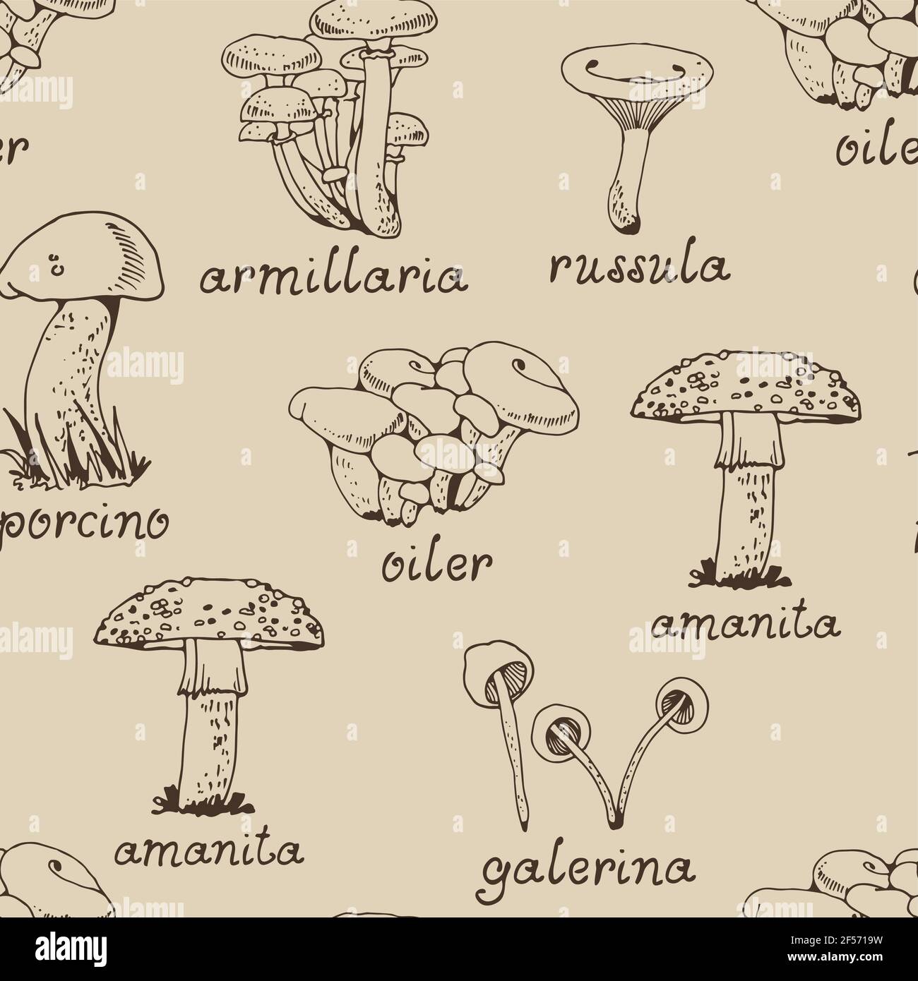 Foresta mushooms modello vettoriale, natura senza giunture sfondo funghi Illustrazione Vettoriale